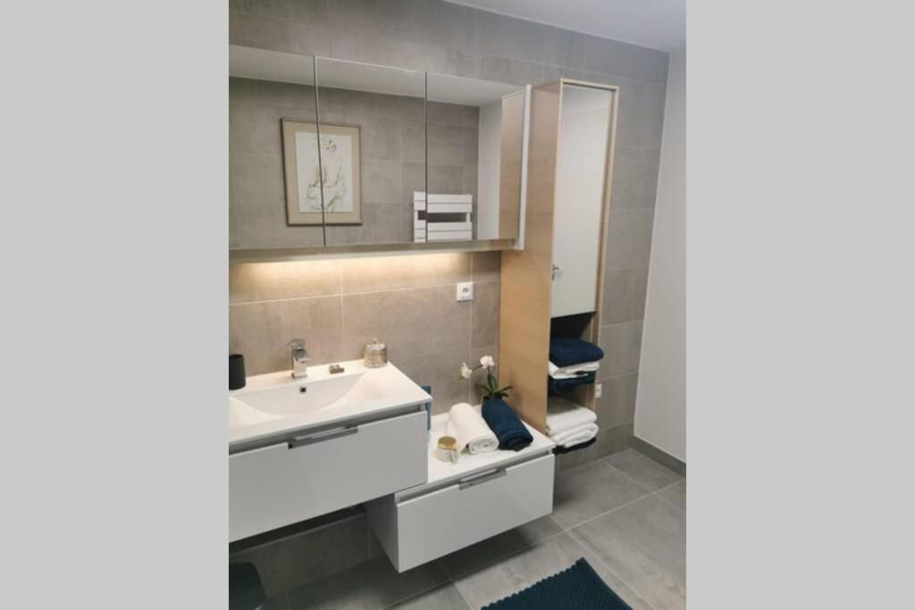 Апартаменты Magnifique F3, 75M² Avec Parking Prive Et Terrasse Страсбург Экстерьер фото